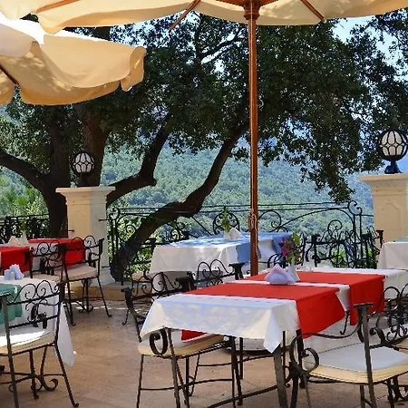 Hotel Paradise Garden 3*