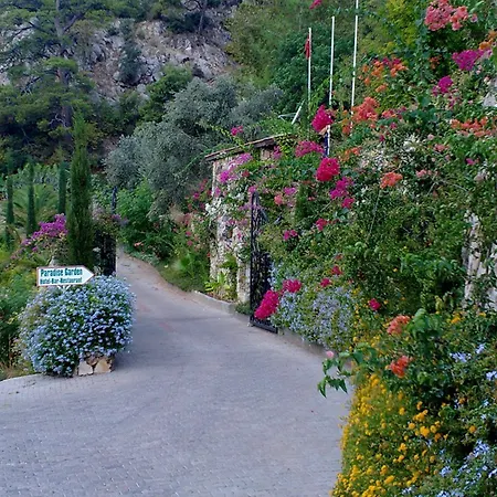 Paradise Garden